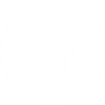 Icon LinkedIn